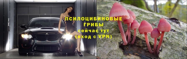 ГАЛЛЮЦИНОГЕННЫЕ ГРИБЫ Балабаново
