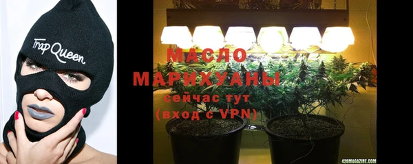 ГАЛЛЮЦИНОГЕННЫЕ ГРИБЫ Ельня