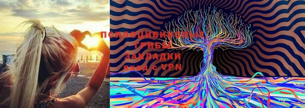 ГАЛЛЮЦИНОГЕННЫЕ ГРИБЫ Балабаново
