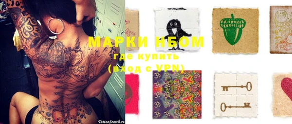 крисы Елабуга