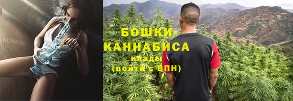 трава Арсеньев