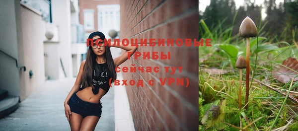 твердый Армянск