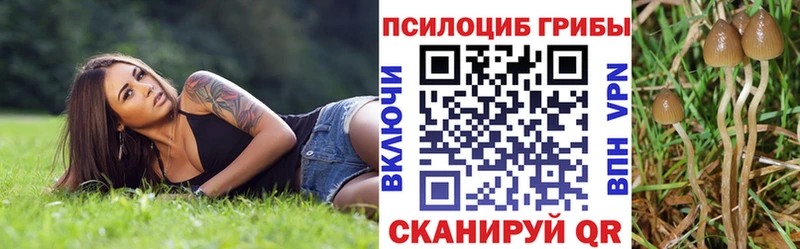 площадка состав  где найти наркотики  Белая Холуница  Галлюциногенные грибы Psilocybine cubensis 